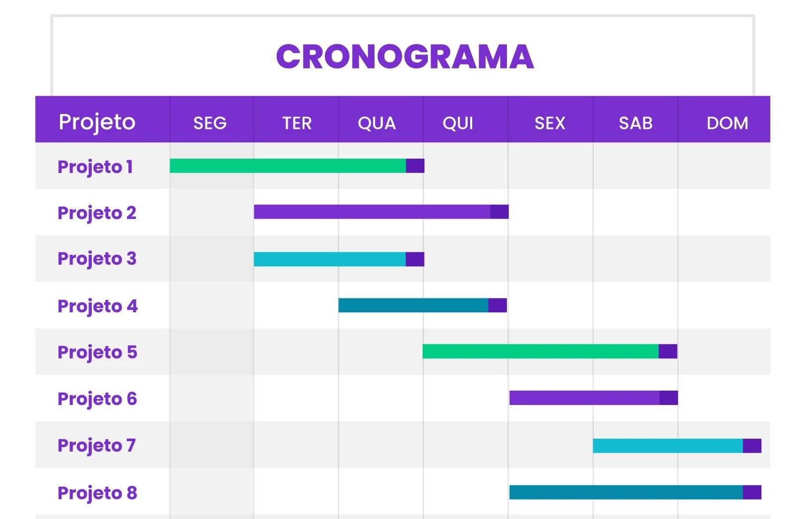 CRONOGRAMA