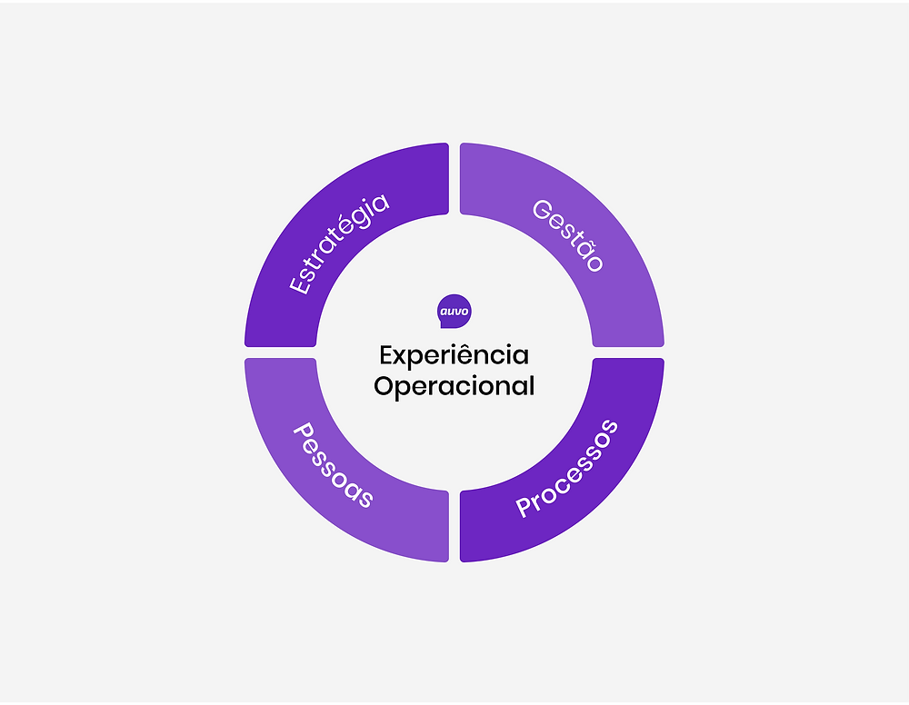 Roda da Experiência Operacional